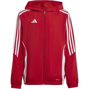 Adidas Tiro 24 IM8800 Training All Year - Training Jacket Adidas Tiro 24 IM8800 Training All Year - Training Jacket