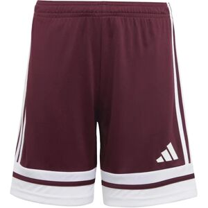 Adidas Squa25 Shorts - Sportswear Adidas Squa25 Shorts - Sportswear