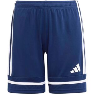Adidas Squadra 25 Blue Football Shorts for Kids - Shorts Adidas Squadra 25 Blue Football Shorts for Kids - Shorts