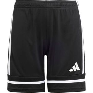 Adidas Jungen Squadra 25 Shorts - Shorts Adidas Jungen Squadra 25 Shorts - Shorts