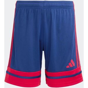 Adidas Squadra 25 Shorts - Shorts Adidas Squadra 25 Shorts - Shorts