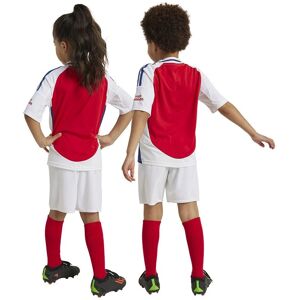 Adidas FC Arsenal Shirt Youth 2024/2025 - Home Shirt Adidas FC Arsenal Shirt Youth 2024/2025 - Home Shirt