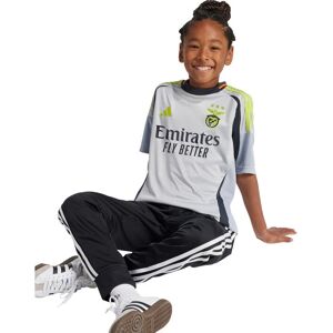 adidas Kids Benfica 24/25 Third Football Jersey - Grey adidas Kids Benfica 24/25 Third Football Jersey - Grey