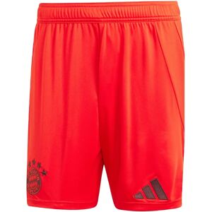adidas Bayern München Rote Shorts 2024/2025 - Shorts adidas Bayern München Rote Shorts 2024/2025 - Shorts