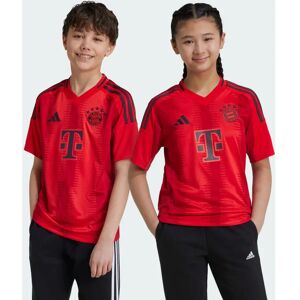 Adidas FC Bayern München Shirt Kids 2024/2025 - Home Shirt Adidas FC Bayern München Shirt Kids 2024/2025 - Home Shirt