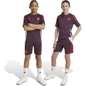 Adidas 2024-2025 Bayern Munich Shadow Maroon Kids Training Shorts Adidas 2024-2025 Bayern Munich Shadow Maroon Kids Training Shorts