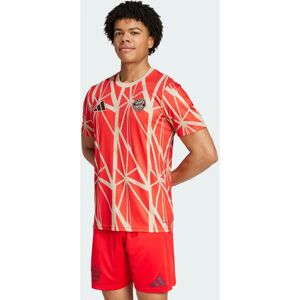 Adidas Bayern Munich Pre-Match Football Shirt - Red - 2024-2025 Adidas Bayern Munich Pre-Match Football Shirt - Red - 2024-2025