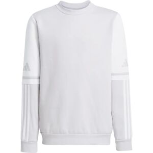 Adidas Squadra 25 Sweatshirt - Sweatshirt Adidas Squadra 25 Sweatshirt - Sweatshirt