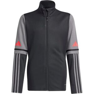 Adidas Squadra 25 Sporty Kids Training Jacket - Training jacket Adidas Squadra 25 Sporty Kids Training Jacket - Training jacket