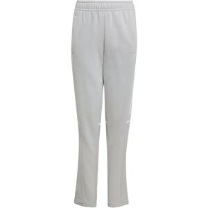Adidas Boys Sport Pants - Squadra 25 SW PNT Y - Gray Adidas Boys Sport Pants - Squadra 25 SW PNT Y - Gray