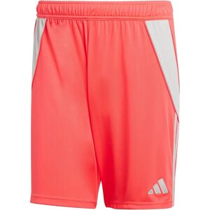 Adidas TIRO24 SHO (M) - Sportsbukser - Rød Adidas TIRO24 SHO (M) - Sportsbukser - Rød
