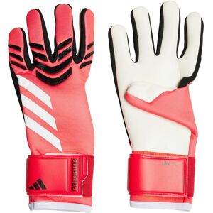adidas Predator Goalkeeper Gloves - Red - Goalkeeper Gloves adidas Predator Goalkeeper Gloves - Red - Goalkeeper Gloves
