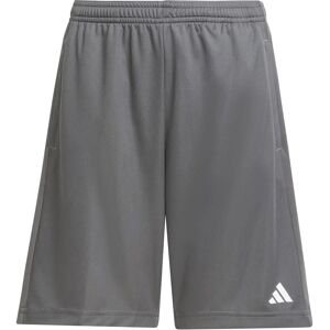 adidas Sport Performance - Träningsshorts Logo - Grå adidas Sport Performance - Träningsshorts Logo - Grå