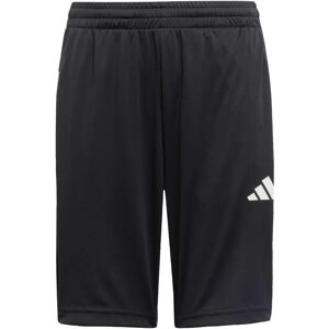 Pantaloncini Adidas - Materiale riciclato - Abbigliamento sportivo Pantaloncini Adidas - Materiale riciclato - Abbigliamento sportivo