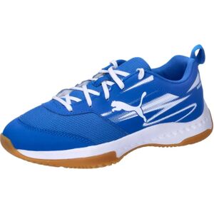 PUMA Varion II Hallensportschuhe - Unterstützung für schnelle Leistung PUMA Varion II Hallensportschuhe - Unterstützung für schnelle Leistung