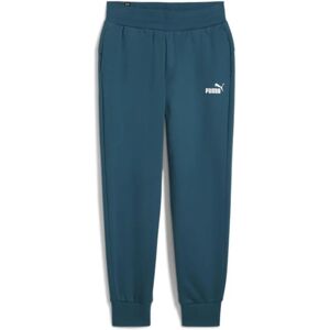 Puma Pantalons de survêtement essentiels pour femme - Vert - Taille XS - Publicité Puma Pantalons de survêtement essentiels pour femme - Vert - Taille XS - Publicité