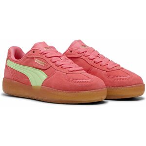 PUMA Palermo Modell Hellblauer Wildlederschuh - Sneaker PUMA Palermo Modell Hellblauer Wildlederschuh - Sneaker