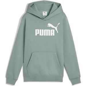 PUMA Green Moon Logo Hoodie for Kids PUMA Green Moon Logo Hoodie for Kids