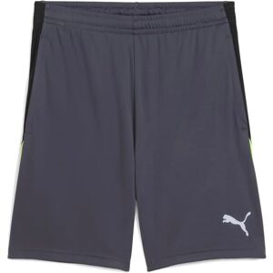 Puma IndividualLIGA Training Shorts - Sports Shorts Puma IndividualLIGA Training Shorts - Sports Shorts