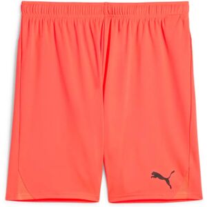 Puma Herr shorts teamGOAL - Shorts Puma Herr shorts teamGOAL - Shorts