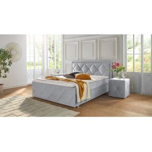 Leonique Alfie Samtvelours Boxbett mit Swarovski Leonique Alfie Samtvelours Boxbett mit Swarovski