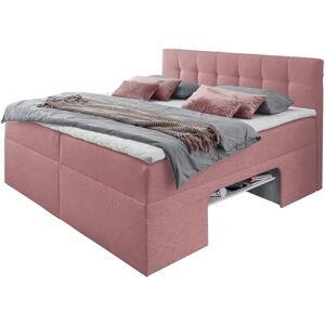Places of Style - Boxbett - rosa - B:142cm L:210cm - Bett Places of Style - Boxbett - rosa - B:142cm L:210cm - Bett