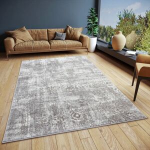 Hanse Home Style Gray Carpet - Vintage Oriental Rug for Warm Floors Hanse Home Style Gray Carpet - Vintage Oriental Rug for Warm Floors