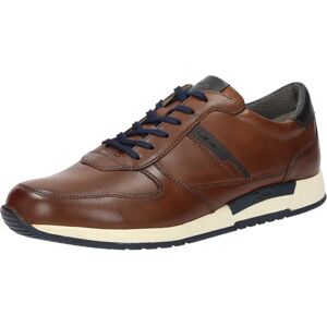 Zapatillas de Cuero Marrón Sioux Rojaro - Hombre Zapatillas de Cuero Marrón Sioux Rojaro - Hombre