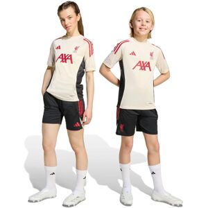 adidas Kids Liverpool FC Tiro 25 Jersey - Training Jersey adidas Kids Liverpool FC Tiro 25 Jersey - Training Jersey