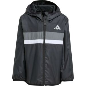 ADIDAS Windbreaker LK TIBERIO WB - Jackets ADIDAS Windbreaker LK TIBERIO WB - Jackets