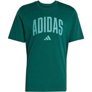 adidas Lineage Graphic T-Shirt - Groen - T-Shirt adidas Lineage Graphic T-Shirt - Groen - T-Shirt