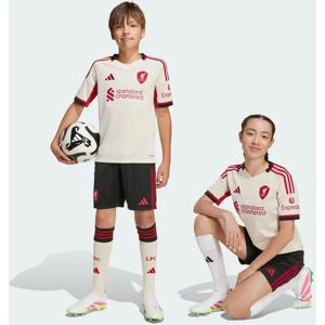 Adidas Liverpool 2025-2026 Black Kids Shorts - Football - 13/14 Years Adidas Liverpool 2025-2026 Black Kids Shorts - Football - 13/14 Years