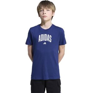 adidas Kids' Cotton Collegiate Graphic T-Shirt - T-Shirt adidas Kids' Cotton Collegiate Graphic T-Shirt - T-Shirt