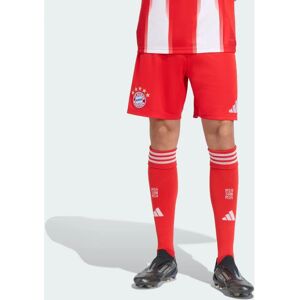 Adidas 2025-2026 Bayern Munich Home Shorts - Red - Shorts Adidas 2025-2026 Bayern Munich Home Shorts - Red - Shorts