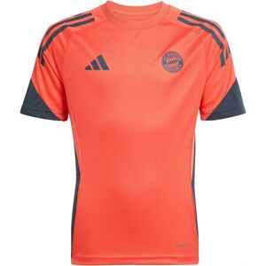 Adidas 2025-2026 Bayern Munich Training Shirt - Kids Red Adidas 2025-2026 Bayern Munich Training Shirt - Kids Red