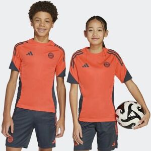 Adidas Bayern Munich Training Shirt - Kids Red - Sportswear Adidas Bayern Munich Training Shirt - Kids Red - Sportswear