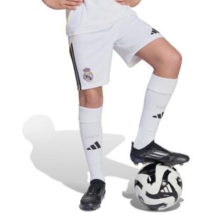 Adidas 2025-2026 Real Madrid Kids Shorts - White - 15/16 Years Adidas 2025-2026 Real Madrid Kids Shorts - White - 15/16 Years