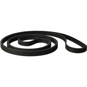 vhbw Privilege V-Belt - Durable Replacement for Dryer - 199.2 cm vhbw Privilege V-Belt - Durable Replacement for Dryer - 199.2 cm