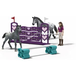 Schleich 42776 Spielset - Trainingszubehör - Pädagogisch - Hochwertig Schleich 42776 Spielset - Trainingszubehör - Pädagogisch - Hochwertig