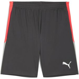 Puma individualliga Training Shorts - Fußballshorts, Grau, Größe S Puma individualliga Training Shorts - Fußballshorts, Grau, Größe S
