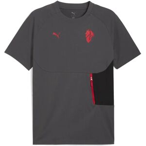 PUMA AC Milan PUMATECH T-Shirt - Sportswear PUMA AC Milan PUMATECH T-Shirt - Sportswear