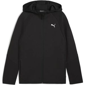 PUMA Evostripe Hoodie - Performance and Style PUMA Evostripe Hoodie - Performance and Style