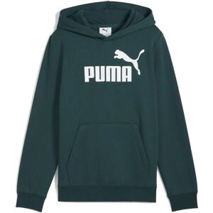 PUMA Kids Hoodie Green Terrain - Hoodies PUMA Kids Hoodie Green Terrain - Hoodies