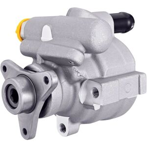 Hella 8TL 359 003-251 Hydraulinen ohjaustehostimen pumppu - Ohjausjärjestelmä Hella 8TL 359 003-251 Hydraulinen ohjaustehostimen pumppu - Ohjausjärjestelmä