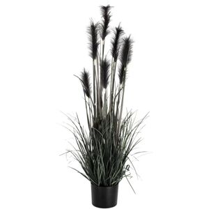 Vega Sanjah Künstliche Pampas Pflanze - Für Innen/Außen - Schwarz Vega Sanjah Künstliche Pampas Pflanze - Für Innen/Außen - Schwarz