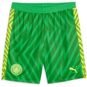 Puma 2023-2024 Man City Goalkeeper Shorts - Green - XXL Puma 2023-2024 Man City Goalkeeper Shorts - Green - XXL