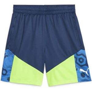 Puma Herren Shorts individualCUP - Blau - XXL Puma Herren Shorts individualCUP - Blau - XXL