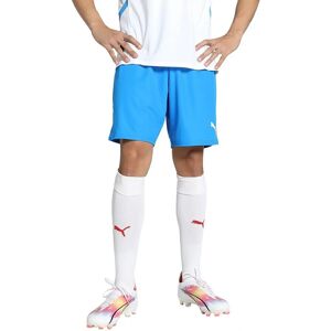PUMA Herr Shorts teamGOAL - Blå - M PUMA Herr Shorts teamGOAL - Blå - M
