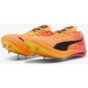 Puma evoSPEED Long Distance Nitro Elite 2 - Pantofi de alergare - Portocaliu Puma evoSPEED Long Distance Nitro Elite 2 - Pantofi de alergare - Portocaliu