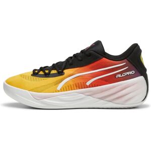 Pantofi Puma All-pro Nitro Showtime - Baschet Bărbați Pantofi Puma All-pro Nitro Showtime - Baschet Bărbați